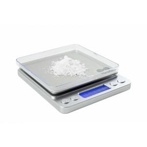 Digital precision scale